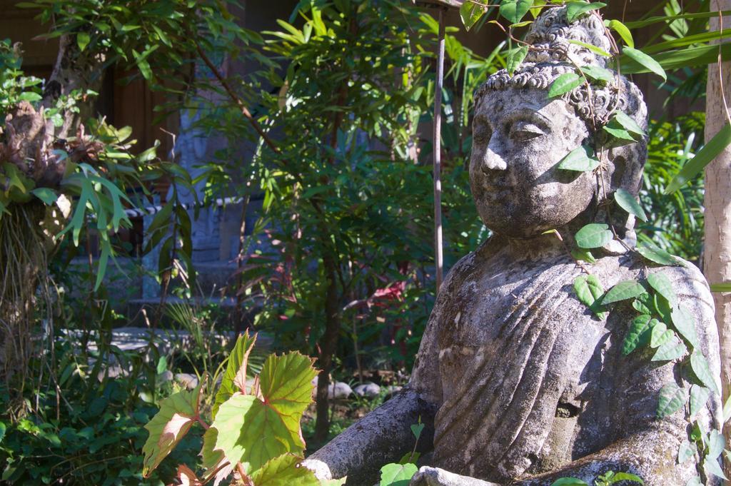 Taman Rahasia Tropical Sanctuary And Spa Ubud Exterior foto